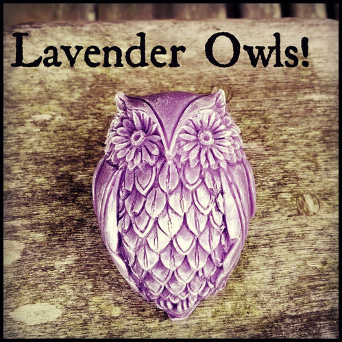 Lavender Owls (RTS)